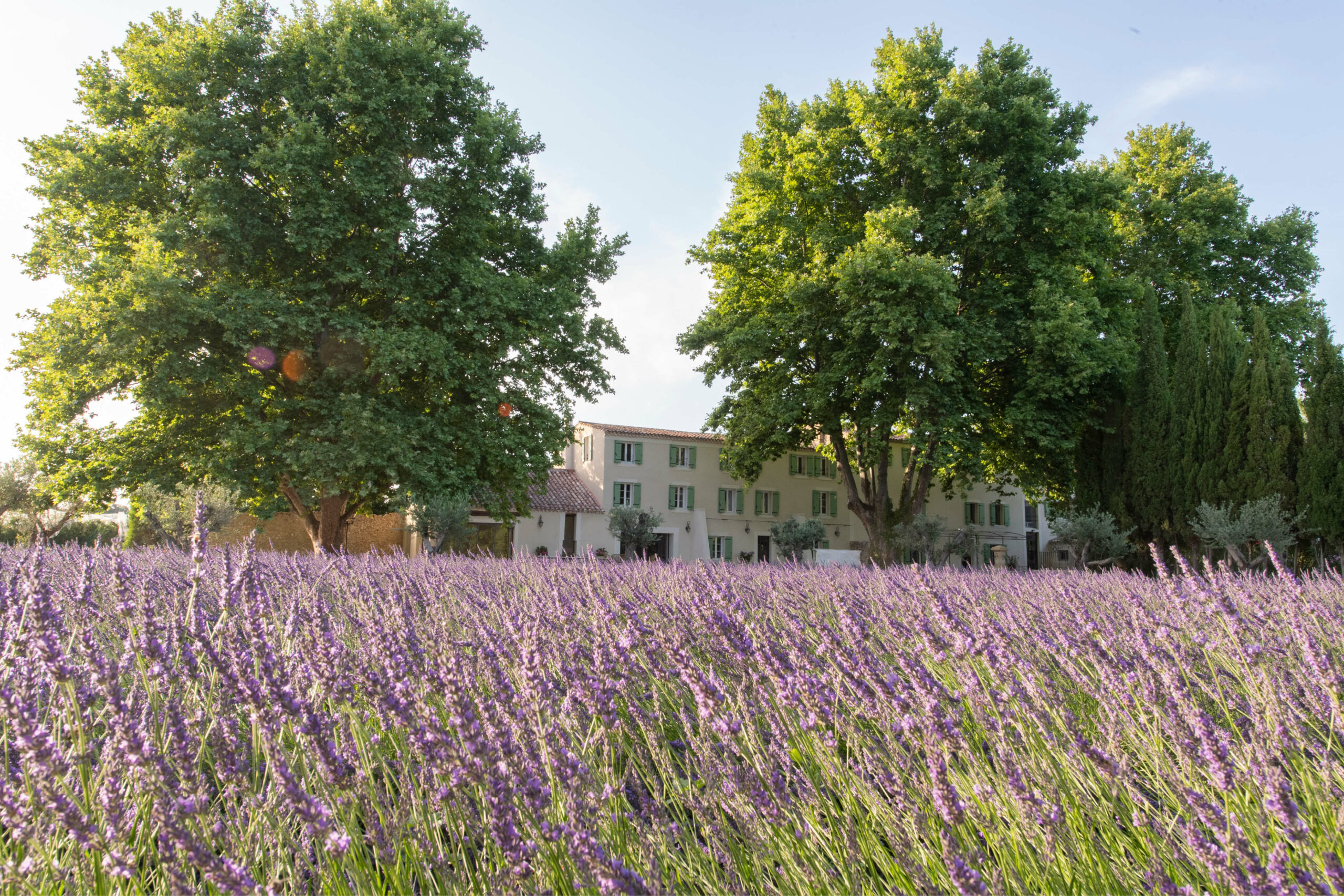 bastide-des-lavandins-le-thor-provence-mariage-séminaire