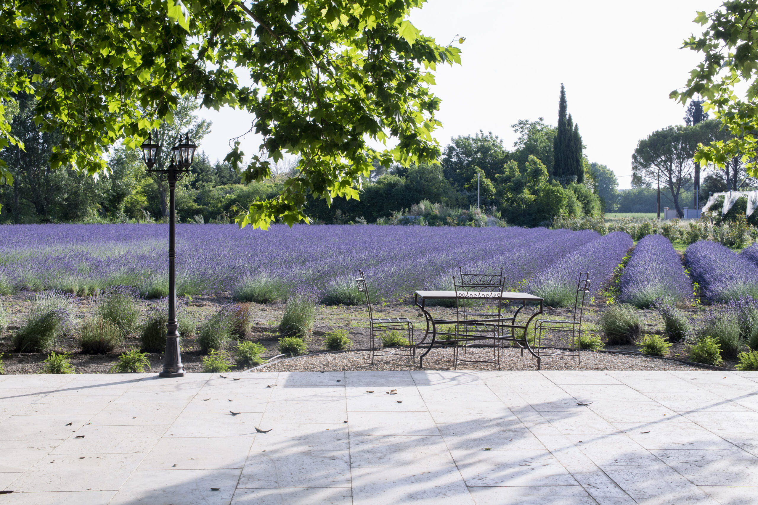 bastidedeslavandins-le-thor-provence-mariage-séminaires-lavandes-sud