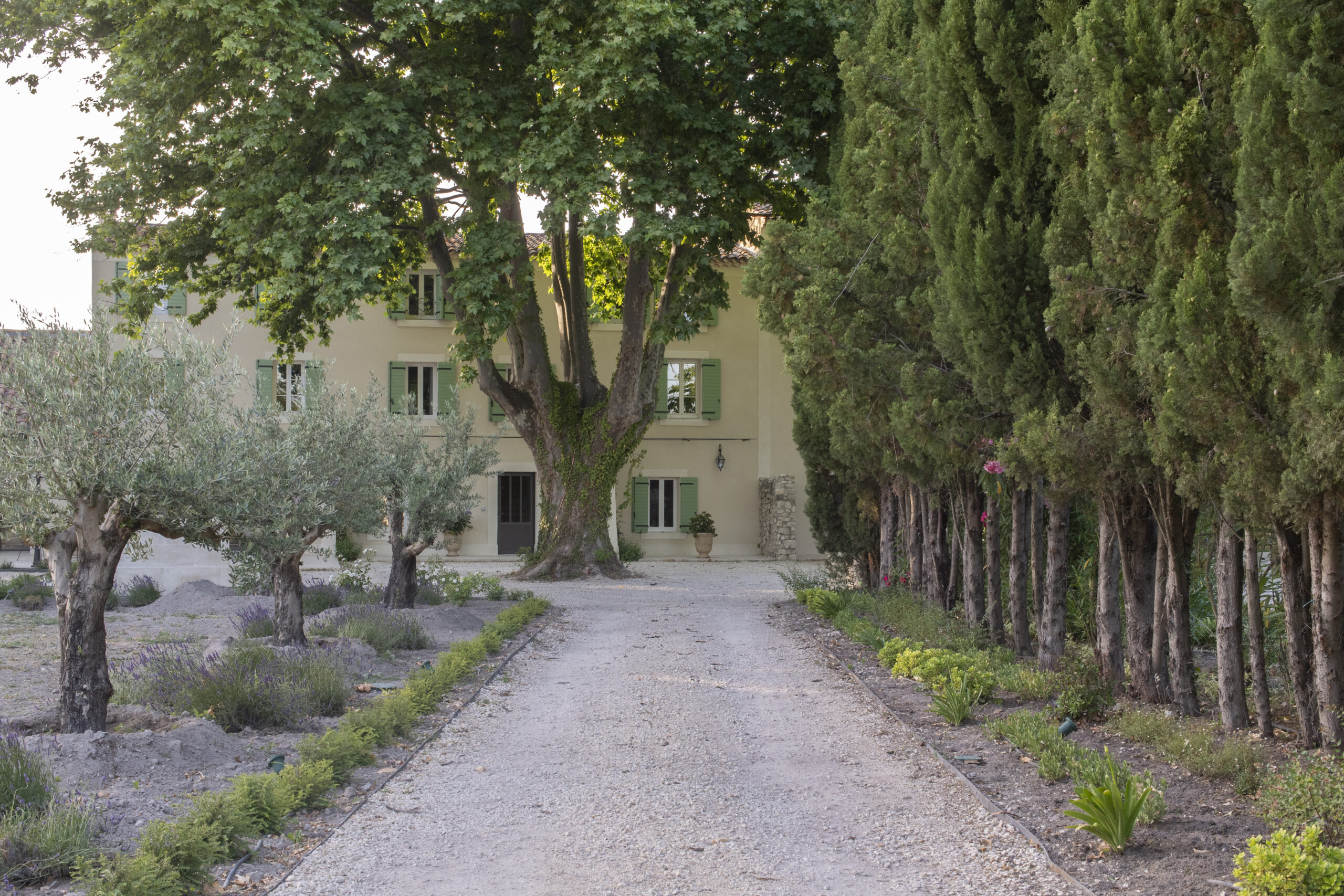 bastidedeslavandins-le-thor-provence-vaucluse-mariage-séminaires